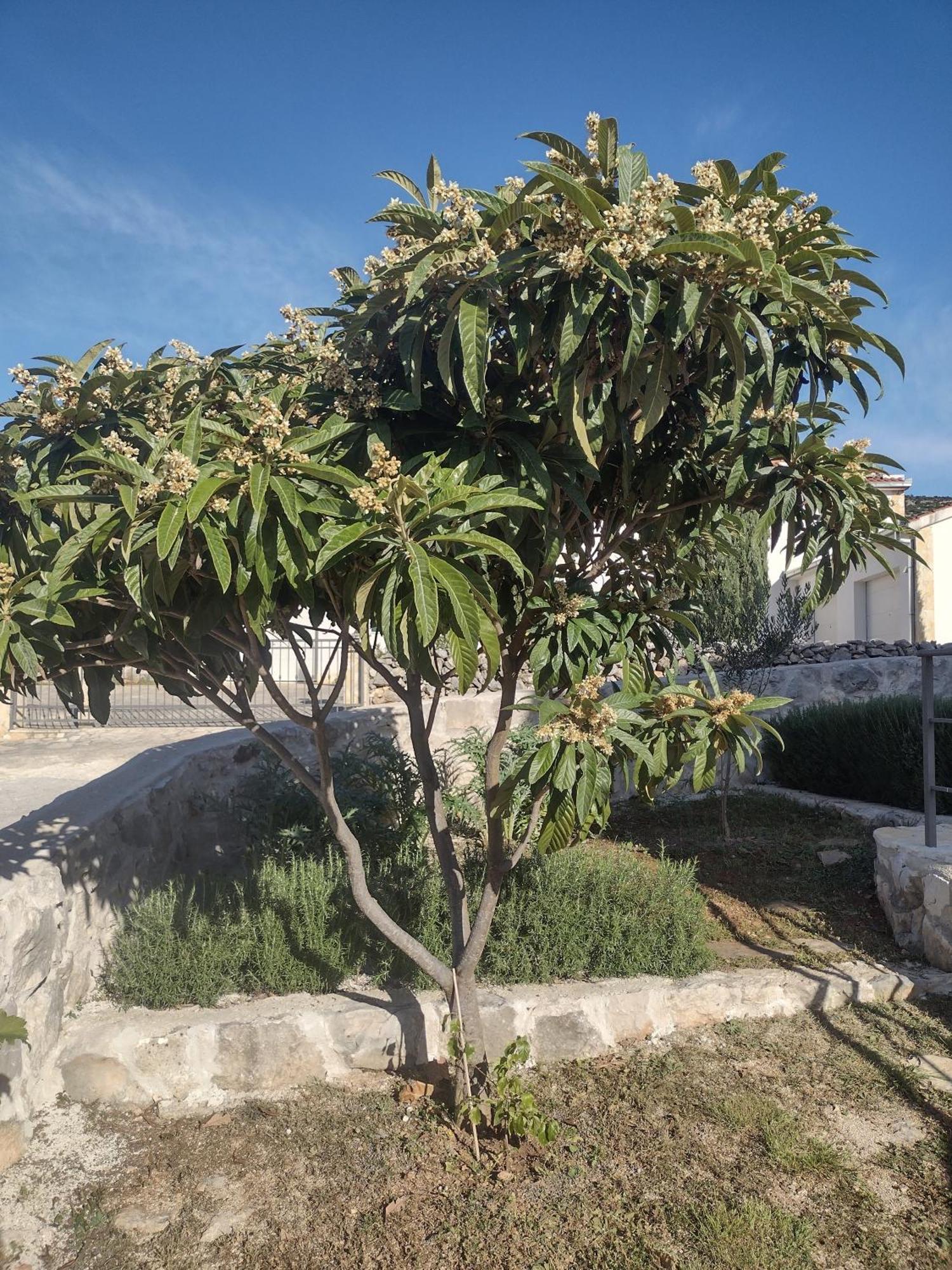 Apartment Olea مارينا المظهر الخارجي الصورة